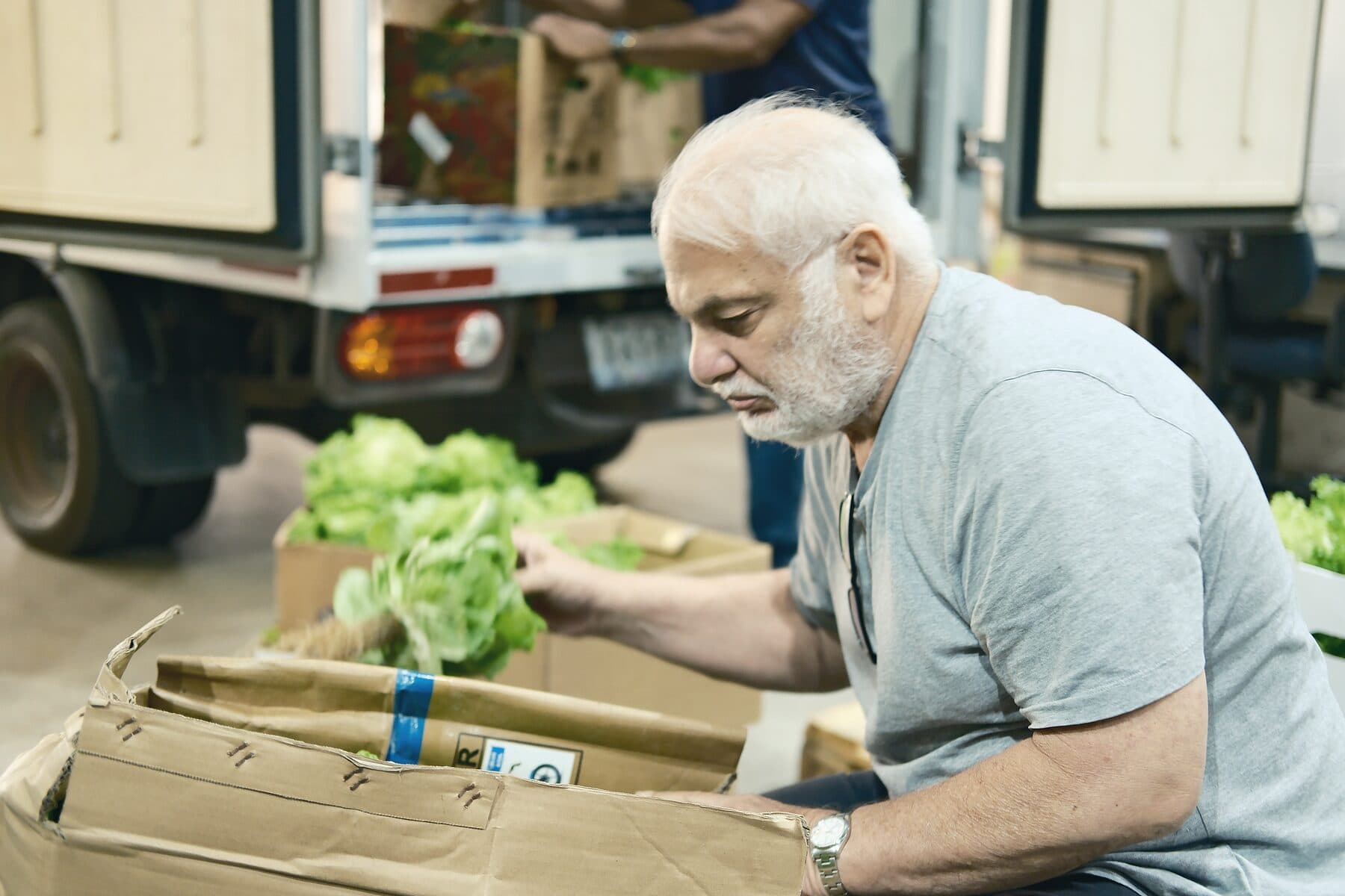 A Samship colleague packing fresh lettuce into a box at the back of a delivery truck